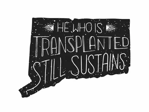 Connecticut — He who is transplanted still sustains